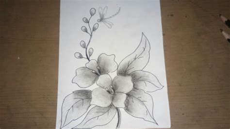 Sketsa Bunga Anggrek Menggambar Dengan Pencil Youtube