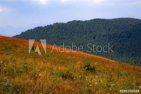 Autumn Landscape In The Mountains Acquista Questa Foto Stock Ed