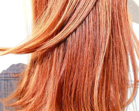 844 Intense Copper Blonde Copper Blonde Copper Hair Color Hair Color