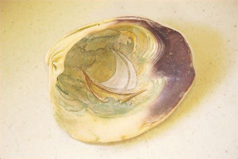 Tridacna clam shell small fancy unique sea shell decorative display specimen free usa shipping! painted boat on a clam shell (With images) | Shell crafts ...
