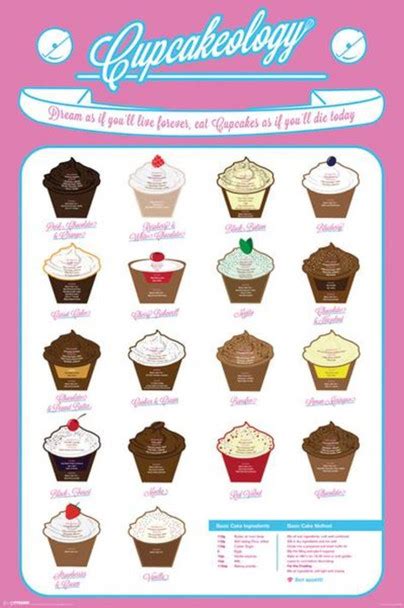 Laminated Cupcakeology Chart Poster Dry Erase Sign 36x24 Poster Foundry