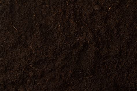 Black Soil Texture Background Top View Stock Photo Download Image Now