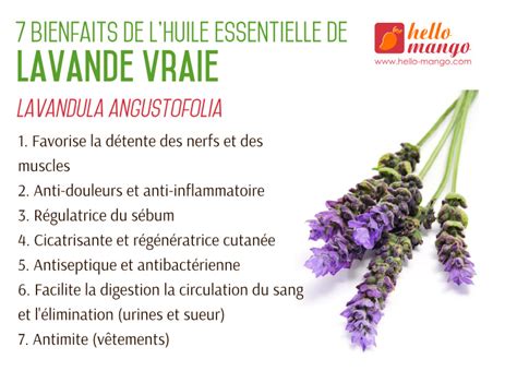 La lavande, ou de son vrai nom lavandula angustifolia, a des propriétés incroyables que pourtant peu de monde connaît. Fiche technique : Huile essentielle de Lavande Vraie ...