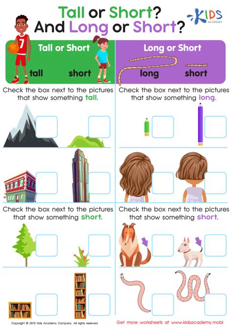 Tall Or Short And Long Or Short Worksheet For Kids