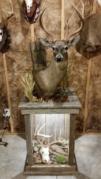 Barnwood Pedestal For Whitetail Mount Deer Decor Deer Hunting Decor Deer Mount Decor