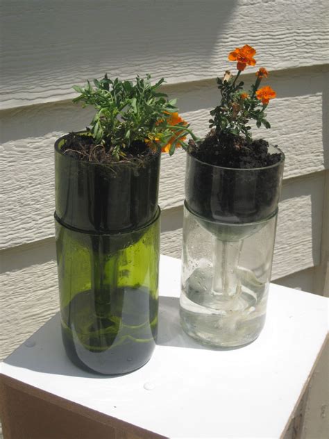 Self Watering Planter Made From Recycled Wine Bottles