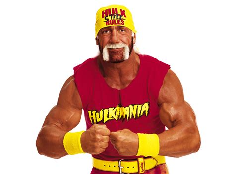 Wwe Terminates Contract With Hulk Hogan After Wrestler Admits To Being