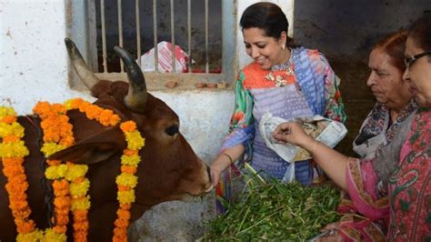 Cu N Cierto Es Que India Donde Las Vacas Son Sagradas Es Un Pa S De Vegetarianos Bbc News