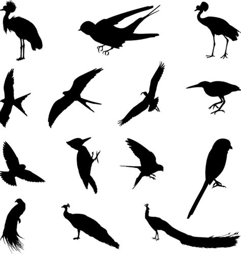 Various Birds Silhouettes Vector Set Free Vector In Adobe Illustrator