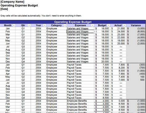 Free Annual Operating Budget Templates Invoiceberry
