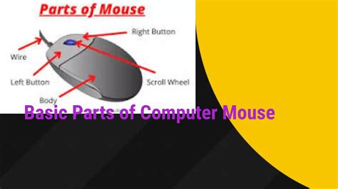 Basic Parts Of Computer Mouse Youtube