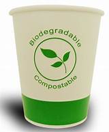 Biodegradable Packaging Foam Images