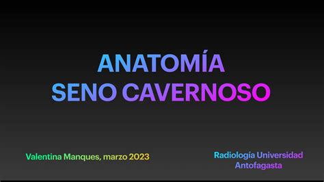 Antatom A Radiol Gica Del Seno Cavernoso Youtube