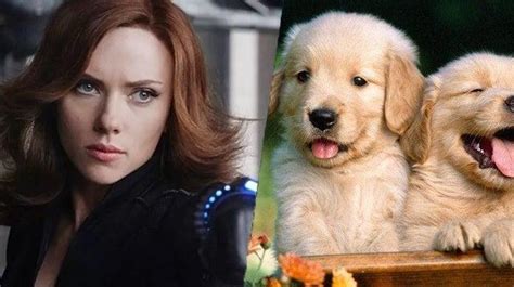 Scarlett Johansson Raids Christian Bale And Matt Damons Puppy Party