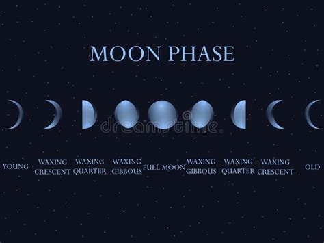 De Fasen Van De Maan Over De Nachthemel Met Sterren De Gehele Cyclus