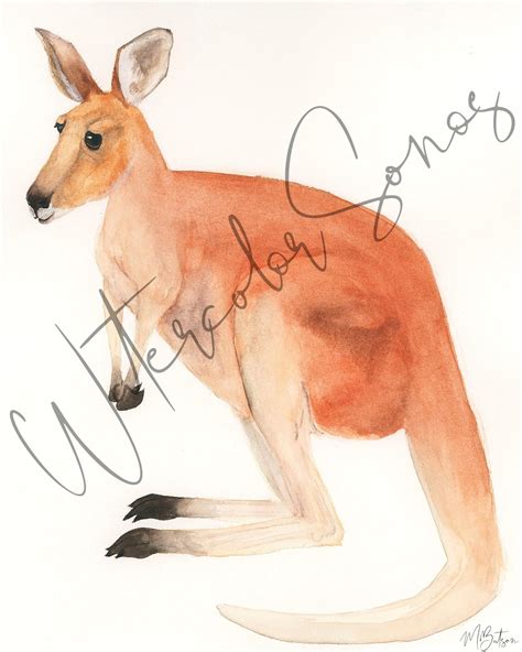 Watercolor Kangaroo Digital Print Etsy