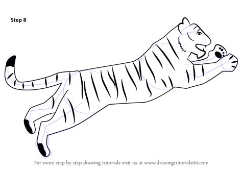Learn How To Draw A Tiger For Kids Big Cats Step By Step Drawing
