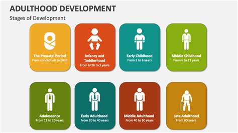 Adulthood Development Powerpoint Presentation Slides Ppt Template