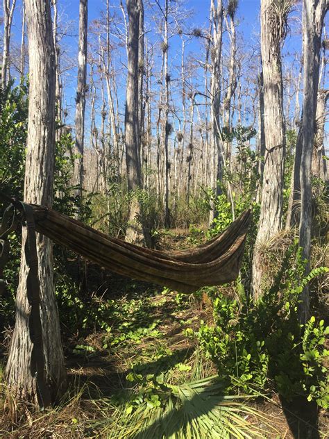 Backcountry Hammock Setup In The Everglades An Endless Swamp Of