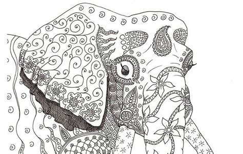 Hard Animal Coloring Pages Nevaehoirhodes