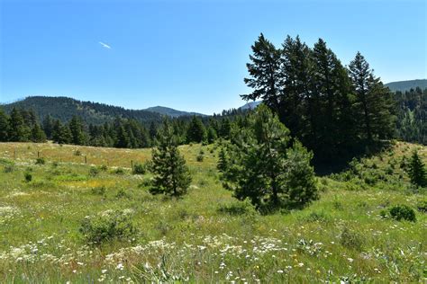 Republic, Ferry County, WA Undeveloped Land for sale Property ID