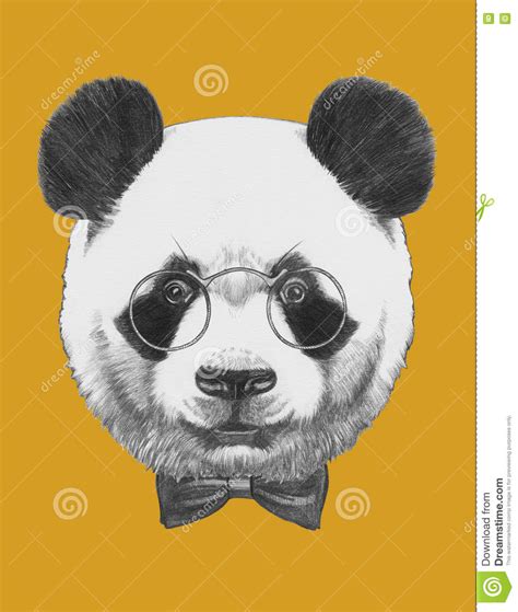 Original Drawing Of Panda With Glasses And Bow Tie Stock Illustration