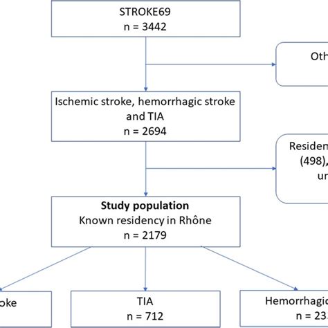 Study Flow Chart Of Patients From The Stroke 69 Cohort Selected In This