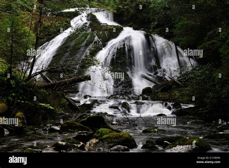 Rain Forest Canada Hi Res Stock Photography And Images Alamy