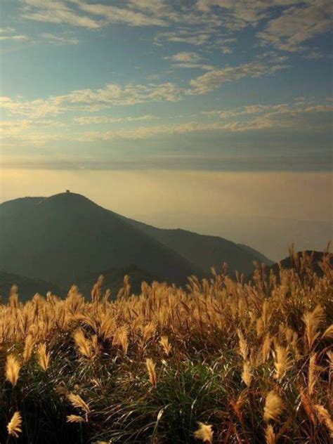 The site owner hides the web page description. 2020大屯山-旅游攻略-门票-地址-问答-游记点评，台北旅游旅游景点推荐-去哪儿攻略