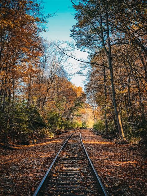 Railroad Vegetation Management And Why It Matters