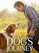 What is your best dog movie of all time? Mine should be "A Dog's ...