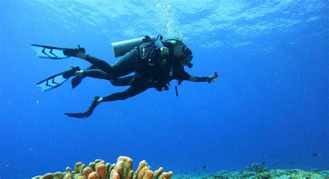 Diving in Cozumel Here is What You Need to Know - Cool Wind Media