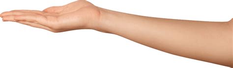 Arm Png High Quality Image Png Arts