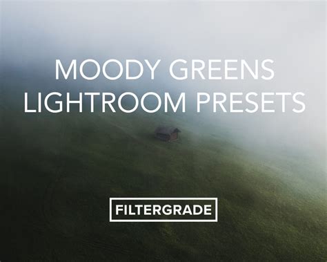 It's as simple as that. Moody Greens LIGHTROOM PRESETS - FilterGrade