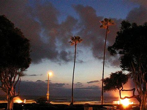 Free Picture Ocean Beach Sunset Palm Trees