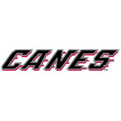 This one knows how to play hockey! carolina hurricanes font | Sports Logo History