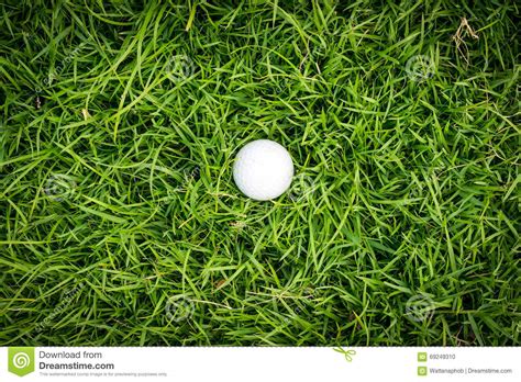 Golf Ball On Green Grass Stock Photo Image Of Daytime 69249310