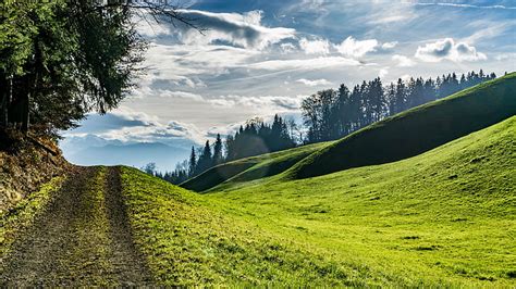 Hd Wallpaper Landscape Photography Of Green Grass Field During Daytime