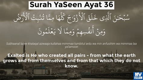 Surah Yaseen Ayat 36 36 36 Quran With Tafsir My Islam