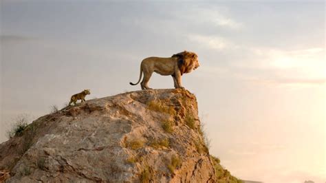 Der König Der Löwen Darum Ist Mufasa Ein Arsch Und Der Circle Of