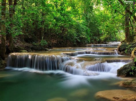 Cascade Forest River Beautiful Views Wallpapers 1920x1200