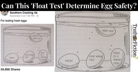 Egg Sink Or Float Test Truth Or Fiction