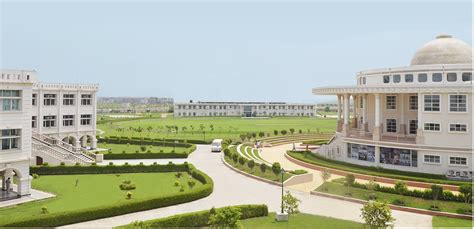 Noida International Universityuttar Pradesh Admission Fees 201920