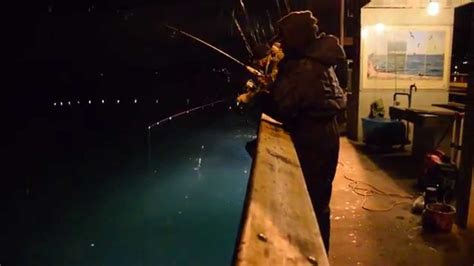 Maybe you would like to learn more about one of these? Edmonds Pier - YouTube
