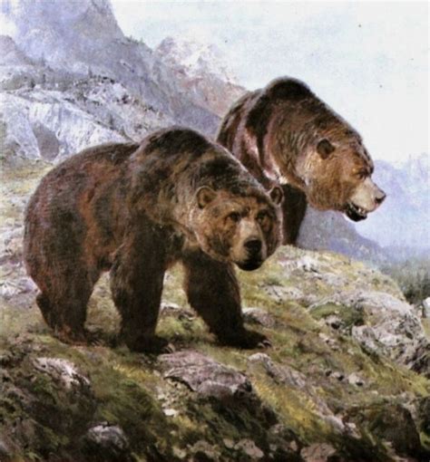 Пещерный Медведь Картинки Telegraph