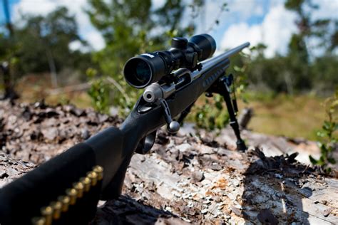 4 Best Hunting Rifles For Deer Hafaspot
