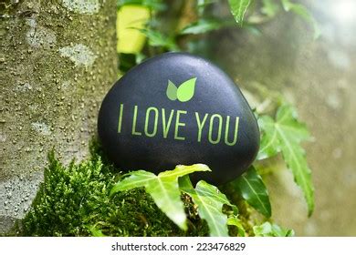 Love You On Stone Nature Stock Photo 223476829 Shutterstock