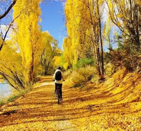 5 Of The Best Places For The Colours Of Autumn Nz Go Explore