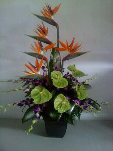 Pin On Tropical Floral Design By Mia Bella