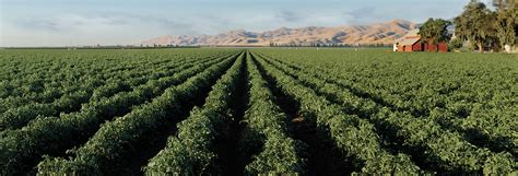 LA TRATTORIA - Stanislaus Foods